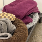 4 Legged Friends Pet Lodging and Daycare
