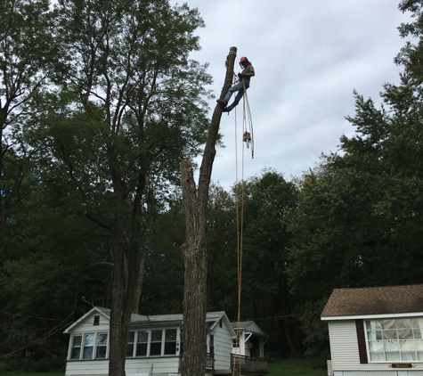 Bill's Tree Service