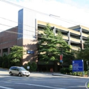 Orthopedics New England, Inc - Physicians & Surgeons, Orthopedics