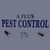 A-Plus Pest Control gallery