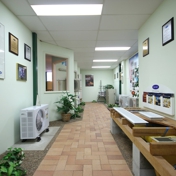 Gallery Image Number 5