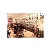 Gallery Image Number 4