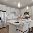 Ascend Nona West