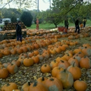 White House Fruit Farm - Fruits & Vegetables-Wholesale