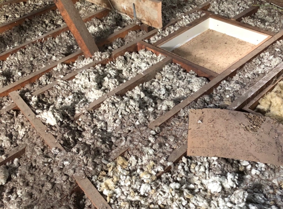 Insulation Removals - Woori Yallock, VIC