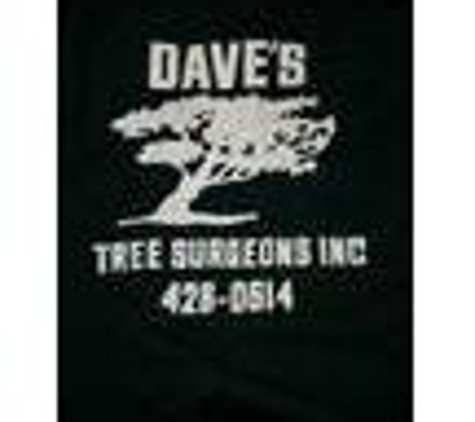 Dave's Tree Surgeons - Louisville, KY