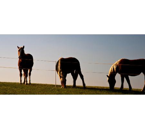 Southwest Stockfeeds