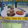 The Conch Shell