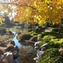 Japanese Friendship Garden