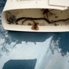 Webenex Services Pest Control gallery