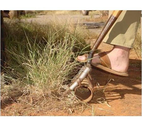 Low Ecological Services Pty Ltd - Connellan, NT