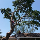 Hurricane Tree Services & Landscaping inc.