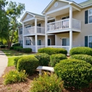 Viera Aiken Apartments - Apartments