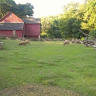 Greenbank Mills and Philips Farm