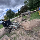Scotts Tree Experts