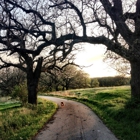 Elinor Bedell State Park