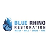 Blue Rhino Restoration gallery