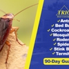 Trio Pest Control gallery