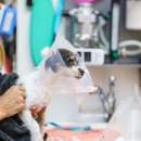 Dr. Kelly's Surgical Unit - North Phoenix - Veterinarians