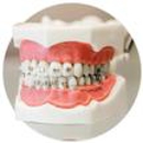 Janulis Dental Laboratory Inc - Dentists