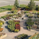 nowthen Nursery & Great Northern Landscapes - Nurseries-Plants & Trees