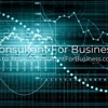 ConsultantForBusiness.com gallery