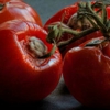 Red Tomato gallery