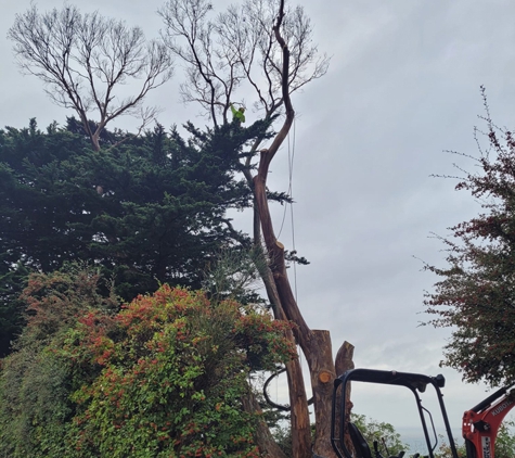 E&T Tree Services And Stump Grinding - Penguin, TAS