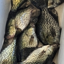 Fishy Business Charters - Guide Service
