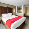 Comfort Inn & Suites Houston FM1960 - Champions gallery