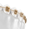 Crall Michael G DDS MS gallery