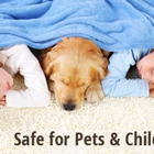 Heaven's Best Carpet Cleaning