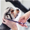 Dog Depot Grooming Salon LLC gallery