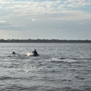 Loggerhead Daytona Beach Marina