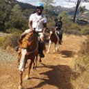 The Ranch at Lake Sonoma - Tourist Information & Attractions