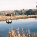Promises Kept Farm - Horse Boarding