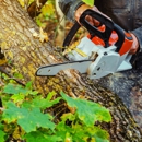 Tree Service & Lawn Care - Tree Service