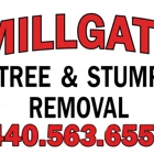 Millgate Tree And Stump Removal