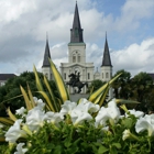 French Quarter New Orleans Tours, LLC