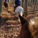 Blue Ridge Ranch - Hay Rides