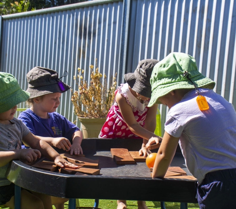Little Kookas Kingsthorpe Childcare - Kingsthorpe, QLD