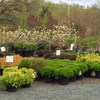 Truesdale Nursery & Landscape Services gallery