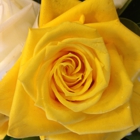 Something Unique Florist