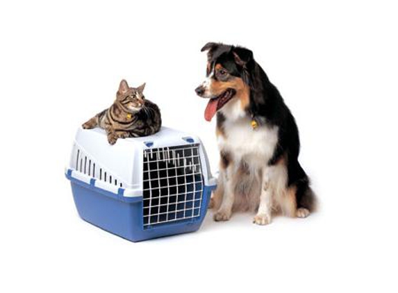 Tugun Veterinary Surgery - Tugun, QLD