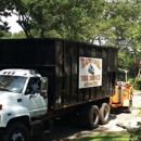 Traditional Tree Service - Arborists