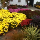 Goudreault Farm Greenhouse