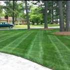 Weed Free Lawns