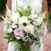 Simple Bouquets gallery