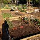 Zaferia Junction Community Garden - Botanical Gardens