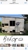 Scott O'Brien Property Maintenance - Home Maintenance & Repairs